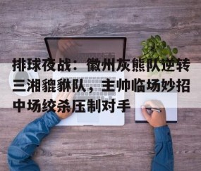 爱游戏官方入口-排球夜战：徽州灰熊队逆转三湘貔貅队，主帅临场妙招中场绞杀压制对手