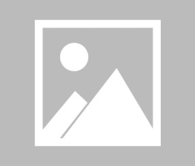 爱游戏官方入口-:?